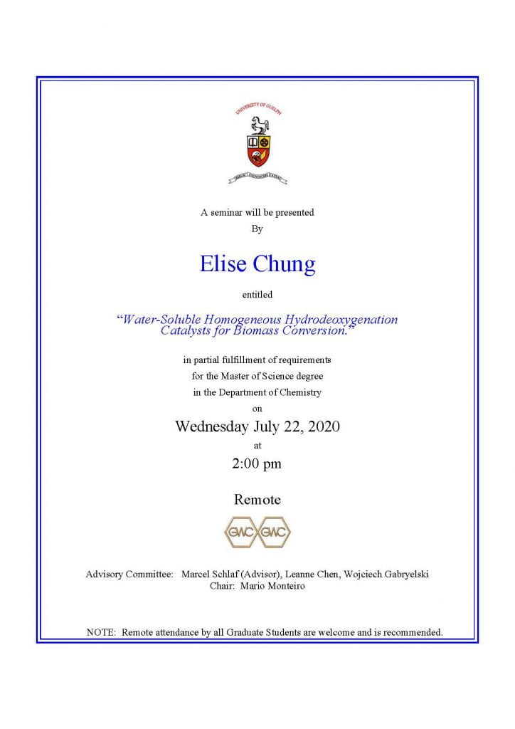 Seminar Announcement for Elise Chung.